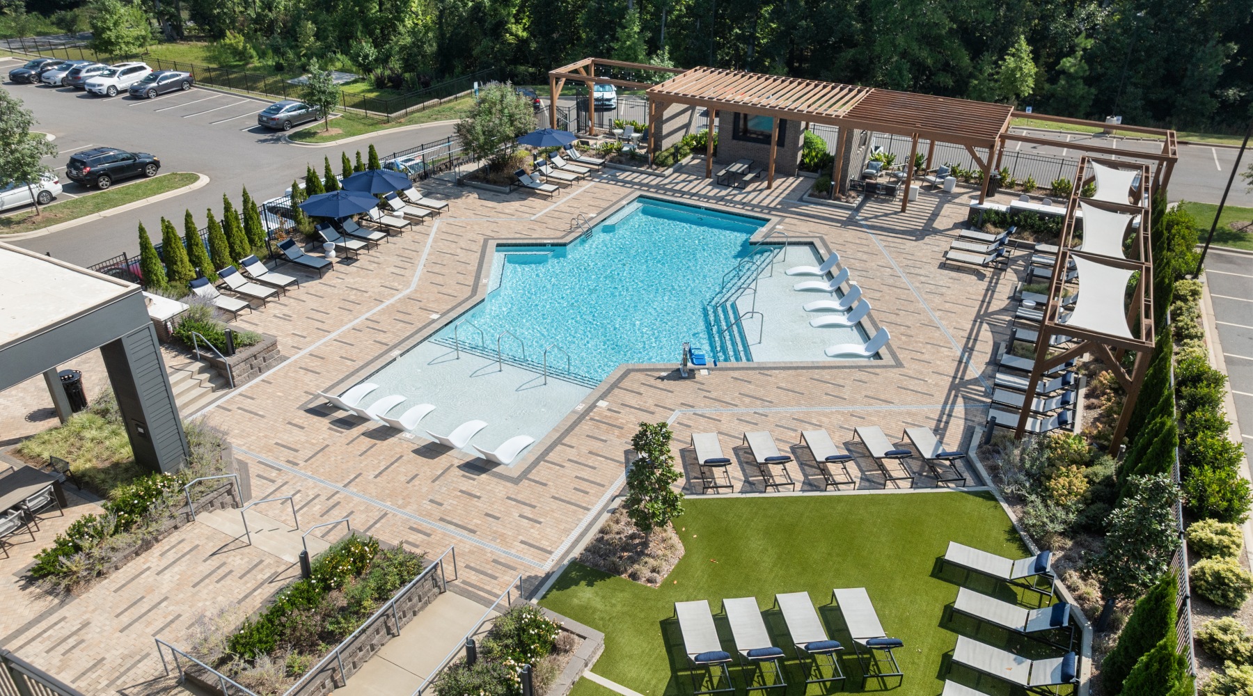 All the Elements to Thrive